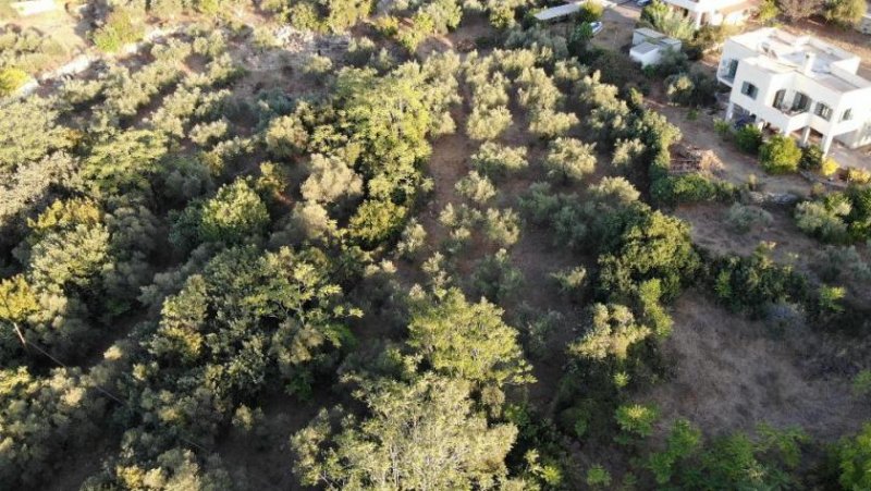 Neo Chorio im Apokoronas Kreta, Neo Chorio: Charmantes Baugrundstück mit Olivenbäumen und Panoramablick im Apokoronas zu verkaufen Grundstück kaufen